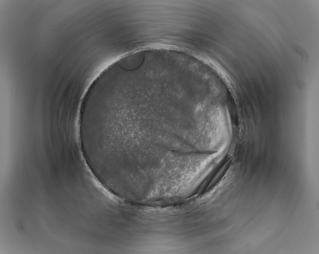 X0000112010902200908241452