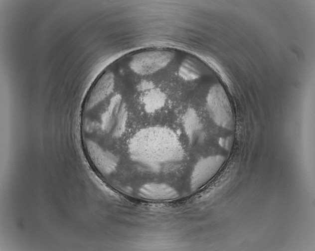 X0000112010903200908241452