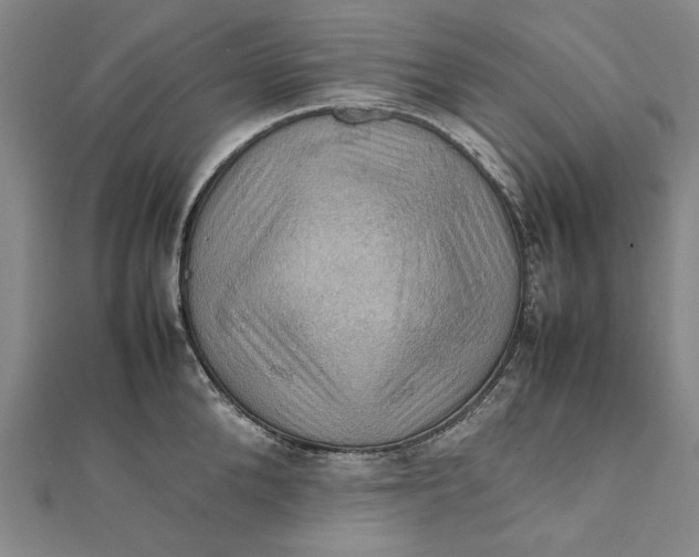 X0000112010904200908241452