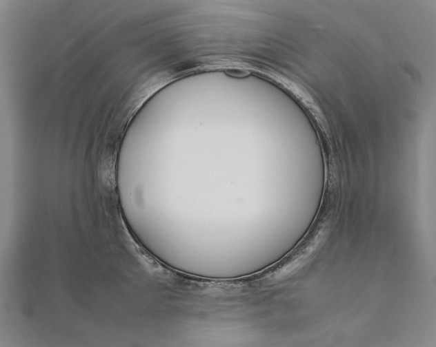 X0000112010905200908241452