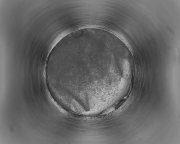 X0000112010906200908241452