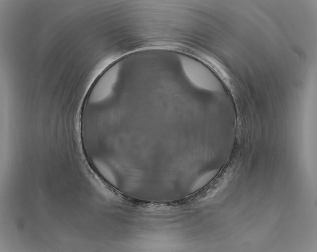 X0000112010907200908241452