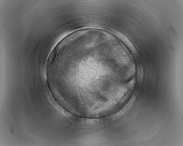 X0000112010908200908241452