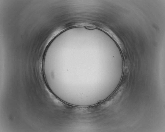 X0000112010909200908241452