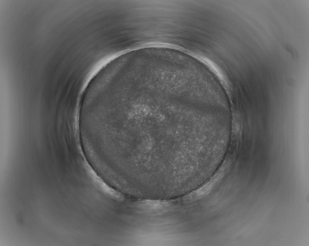 X0000112010910200908241452