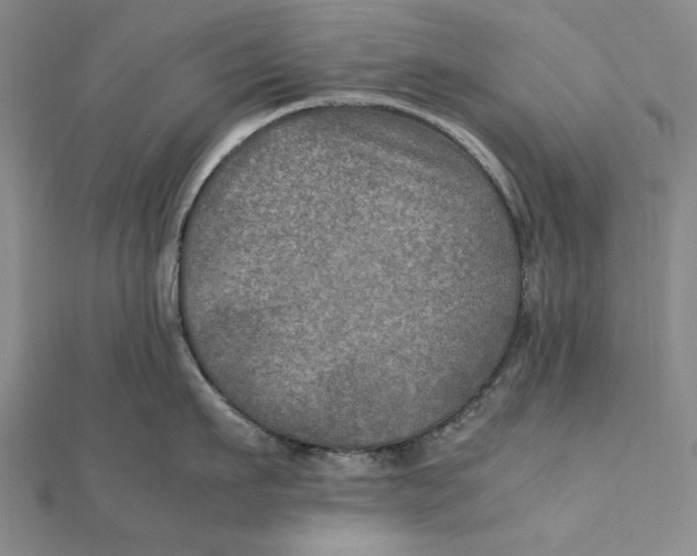 X0000112010911200908241452