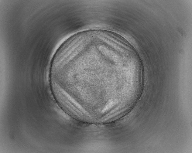 X0000112010912200908241452