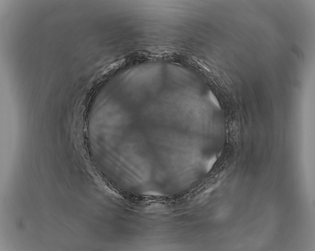 X0000112010913200908241451