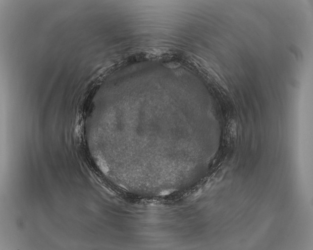 X0000112010914200908241451