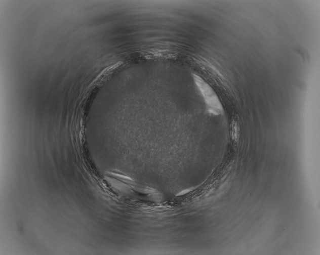 X0000112010915200908241451