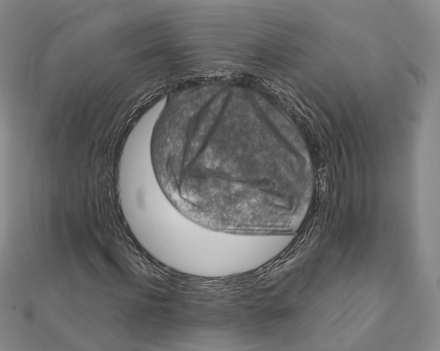 X0000112010916200908241451