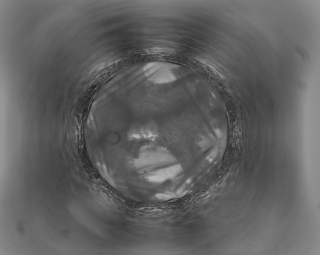 X0000112010917200908241451