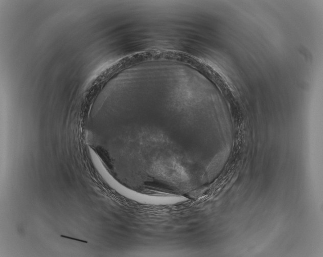 X0000112010919200908241451