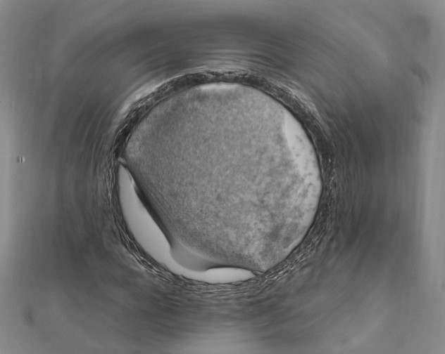 X0000112010920200908241451