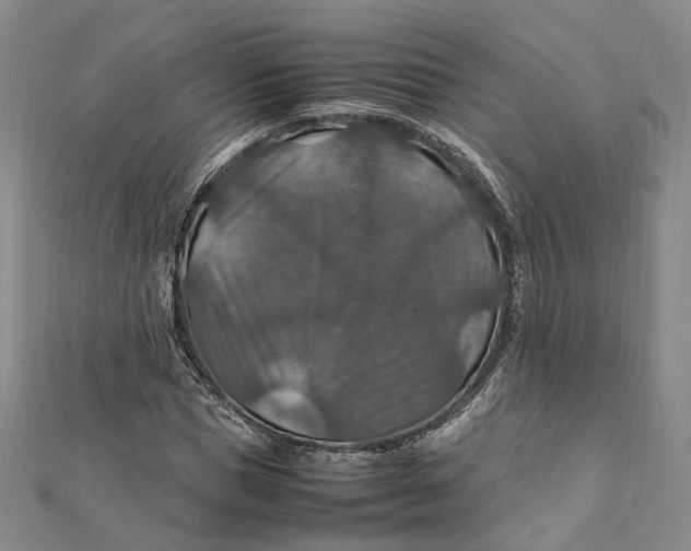 X0000112010921200908241451