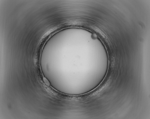 X0000112010922200908241451