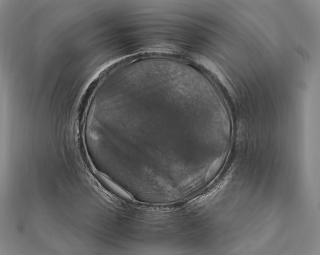 X0000112010923200908241451