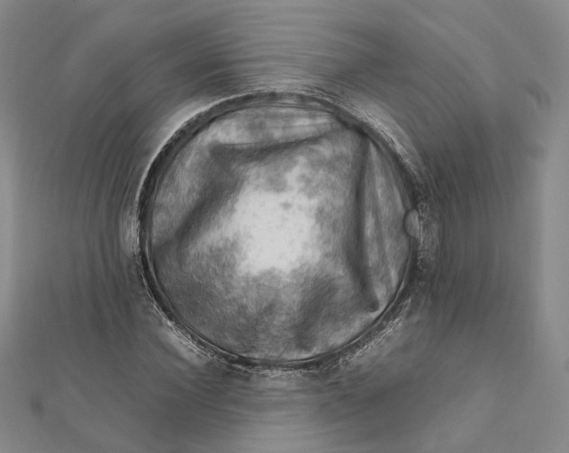 X0000112010924200908241451