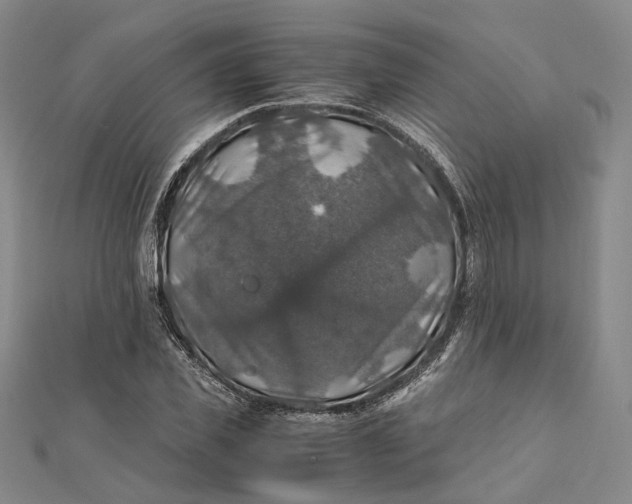 X0000112010925200908241451