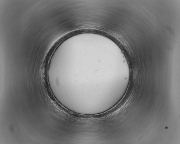 X0000112010926200908241451