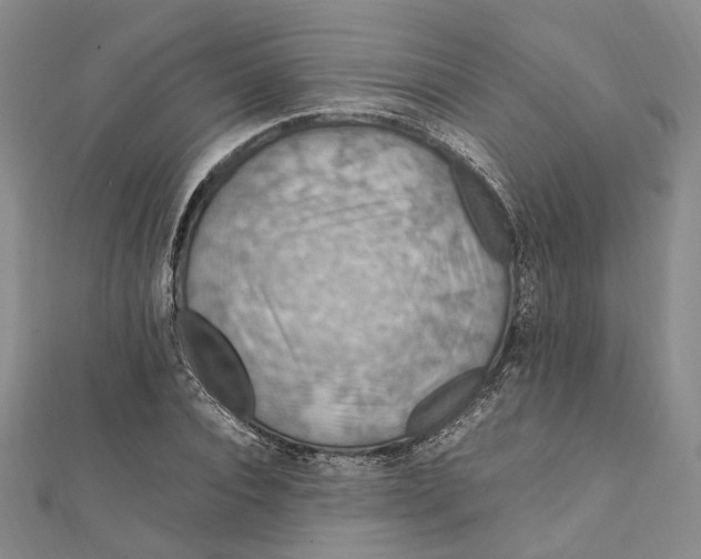 X0000112010928200908241451