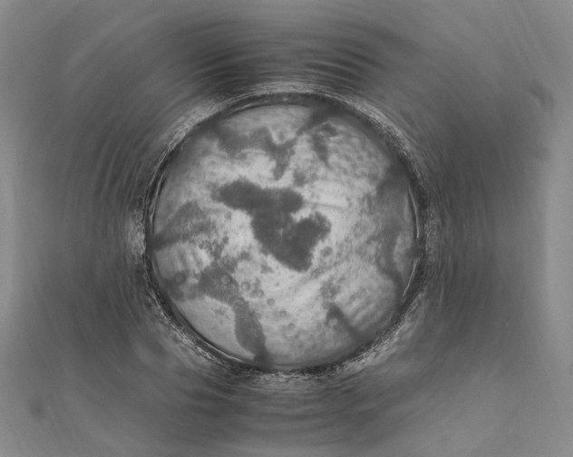 X0000112010929200908241451