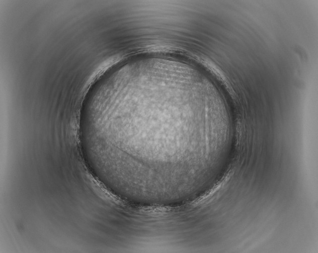 X0000112010930200908241451