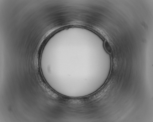 X0000112010931200908241451