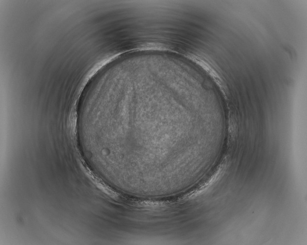 X0000112010933200908241451