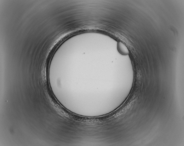 X0000112010934200908241452