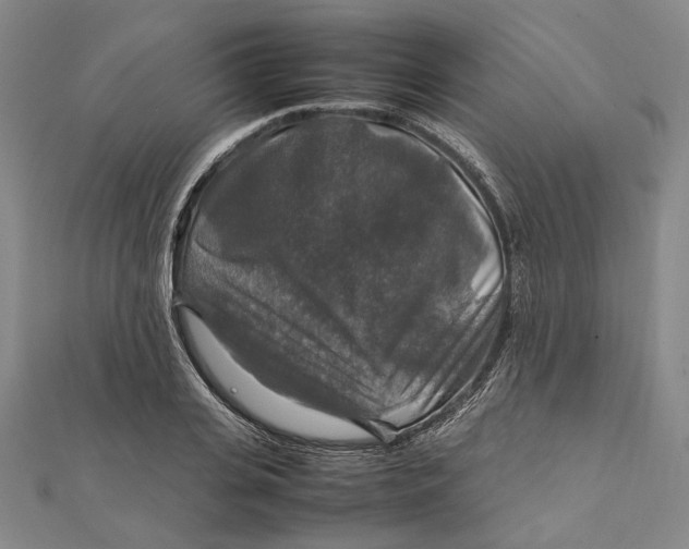 X0000112010935200908241452