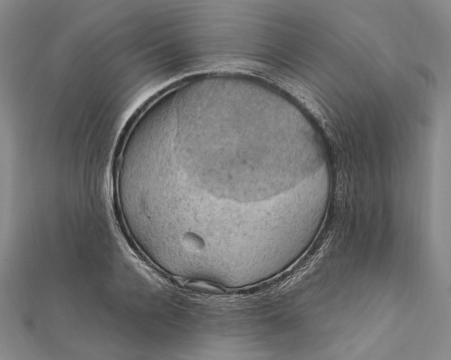 X0000112010936200908241452