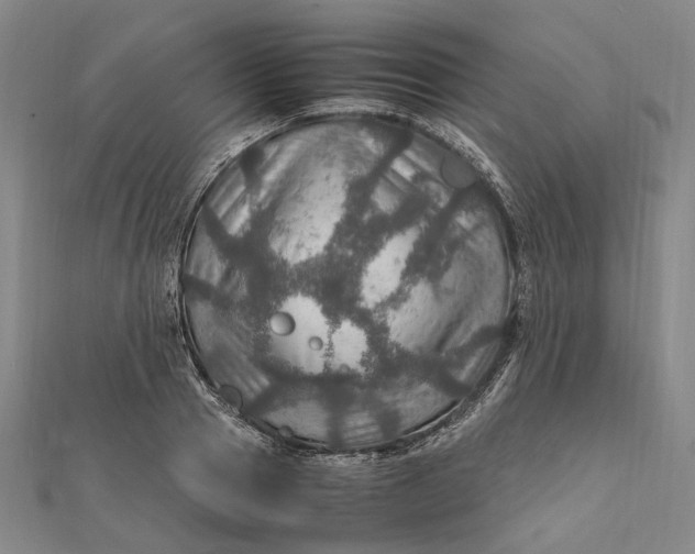 X0000112010937200908241452