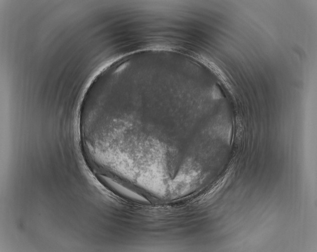 X0000112010939200908241452