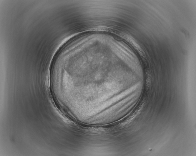 X0000112010940200908241452