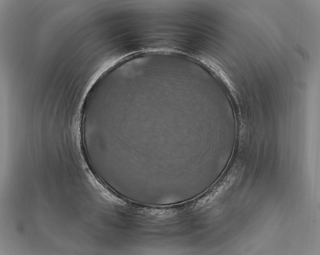 X0000112010941200908241452