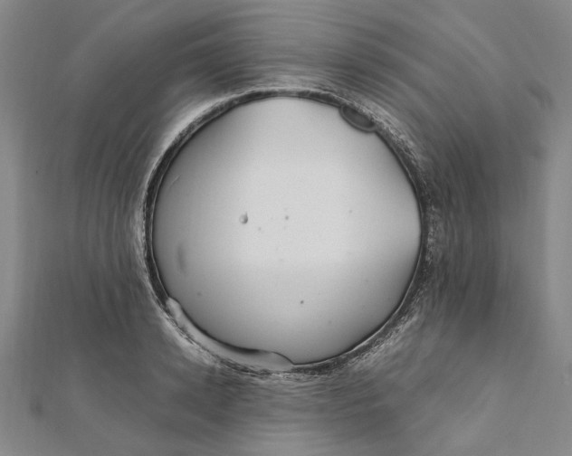 X0000112010942200908241452