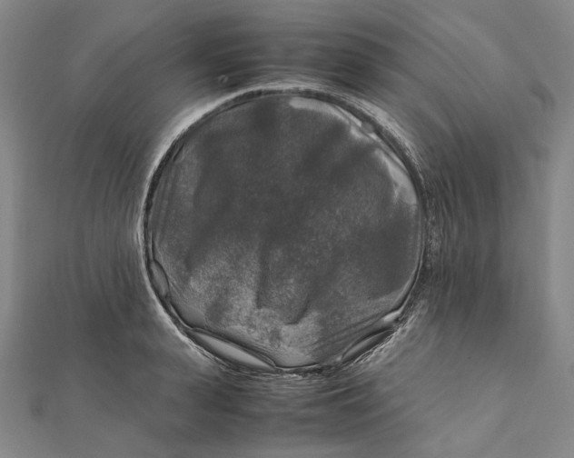 X0000112010943200908241452