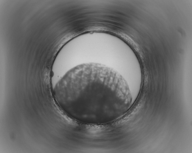 X0000112010945200908241452