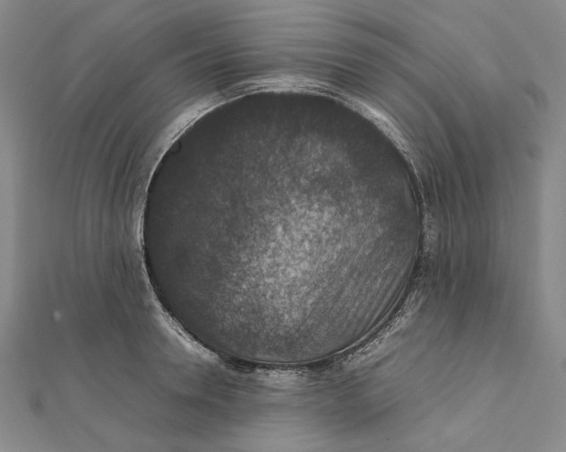 X0000112010946200908241452