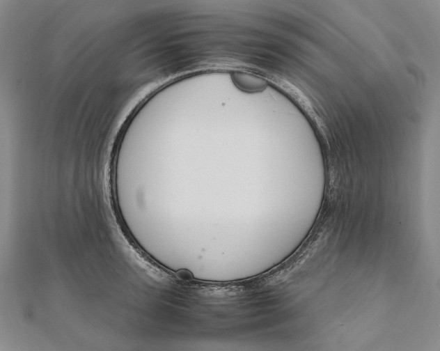 X0000112010947200908241452