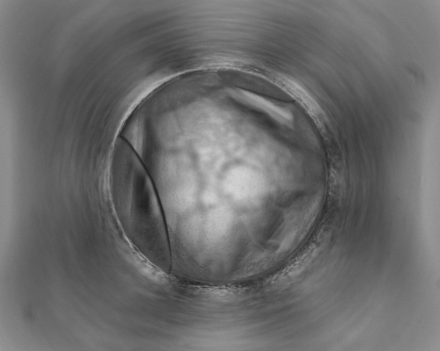 X0000112010948200908241452