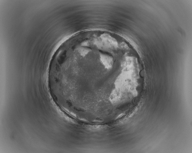 X0000112010949200908241452