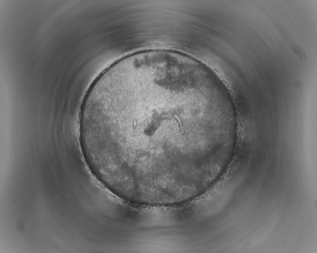 X0000112010950200908241452