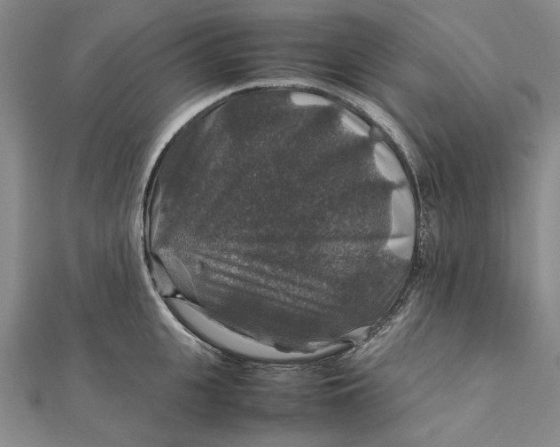 X0000112010951200908241452