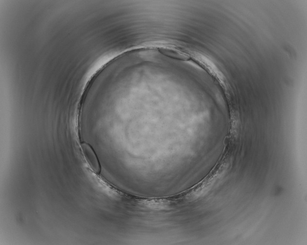 X0000112010952200908241452