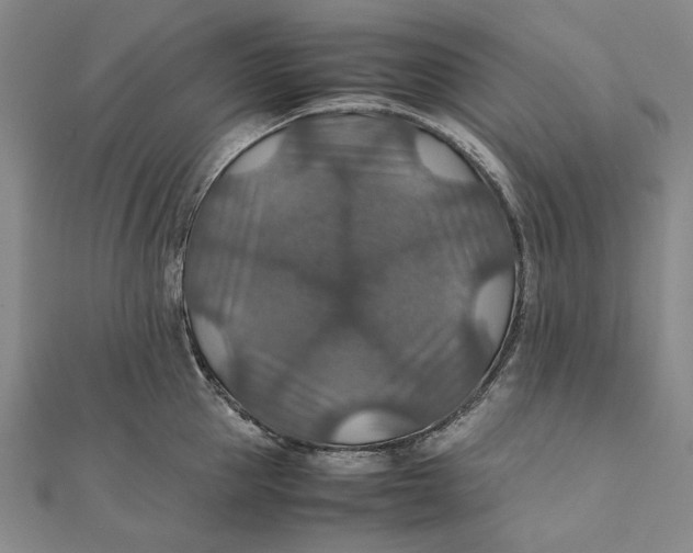 X0000112010953200908241452