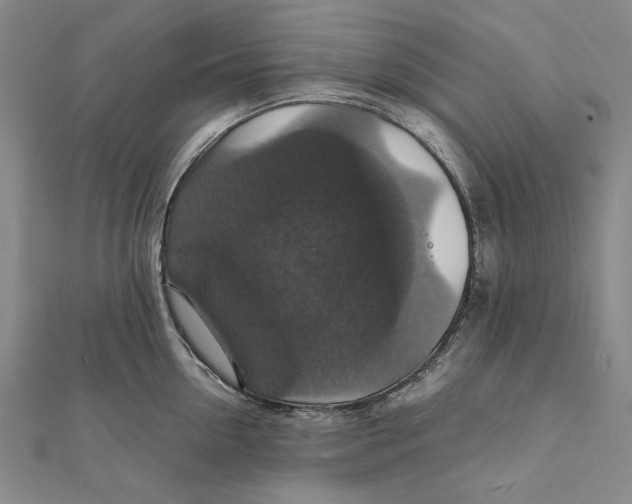 X0000112010954200908241452