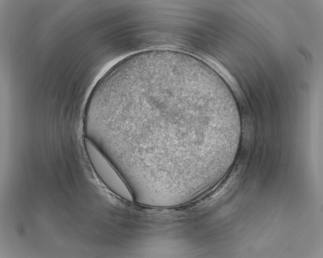 X0000112010956200908241452