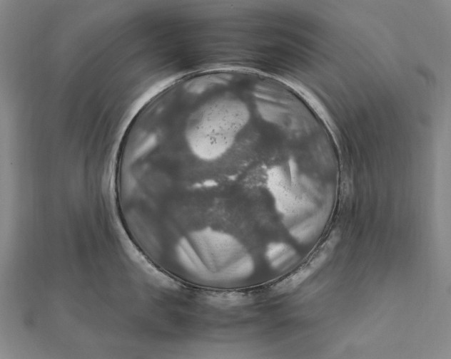 X0000112010957200908241452